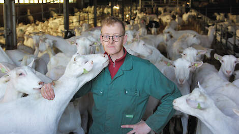 Jos Tolboom, voorzitter van Vakgroep Geitenhouderij bij LTO Nederland en geitenhouder in Hoogland)