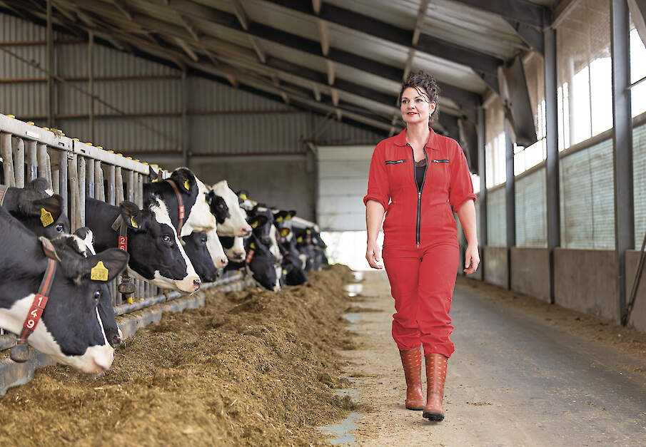 Tanja van de Ven-Vogels in de stal