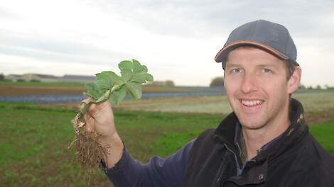 Bram Dauchy toont veldboon.