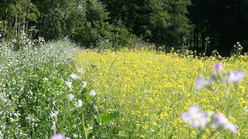 Regeneratieve landbouw