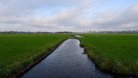 De Duivendrechterpolder met op de achtergrond Amsterdam.