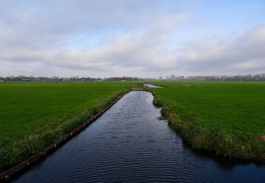 De Duivendrechterpolder met op de achtergrond Amsterdam.