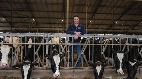 Tom Derks tussen zijn koeien die hij optimaal wil laten presteren.