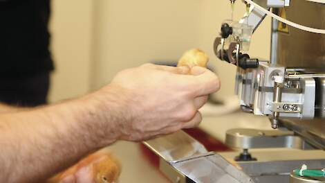 De verwachting is dat er pas in 2030 gevaccineerd kan worden tegen vogelgriep.