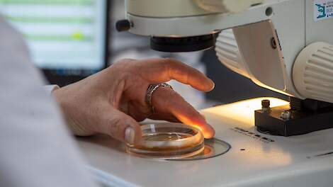 Microscoop proeven laboratorium