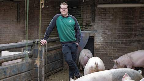 Michael Versteeg verzorgt de varkens op het veehouderijbedrijf.