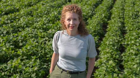 Algemeen directeur Nicole Freid van HAK in een sperziebonenveld.