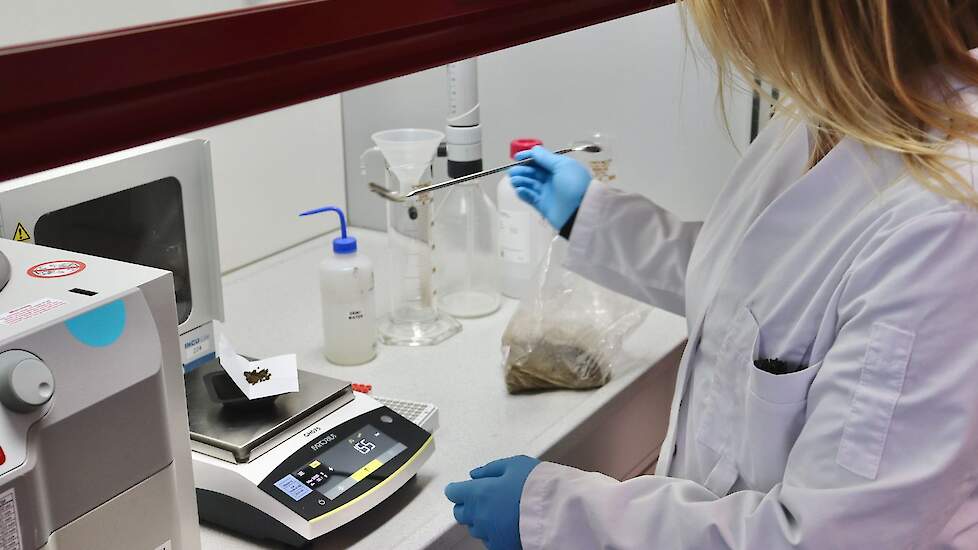 De fusariumtoets is een risicoanalyse op basis van grondonderzoek. HLB voert dit uit voor uientelend Nederland, om een beter inschatting te kunnen maken van teeltrisico&rsquo;s.