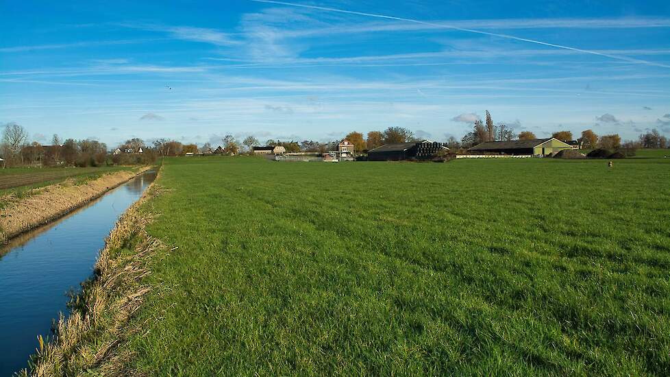 Het perceel in Leimuiden (ZH).