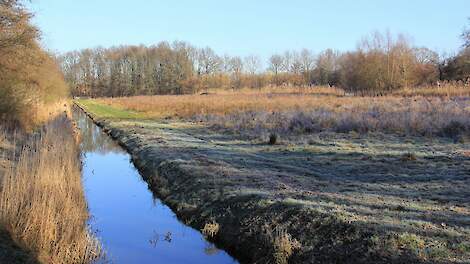 De bufferstroken blijven voorlopig nog in tact.