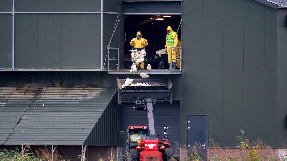 Beeld ter illustratie