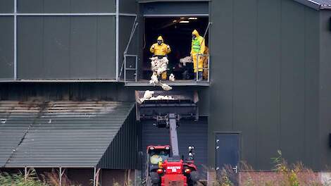 Beeld ter illustratie