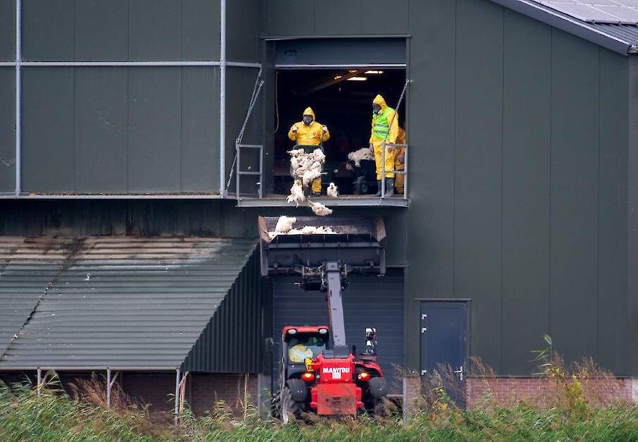 Beeld ter illustratie