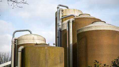 Afbeelding ter illustratie