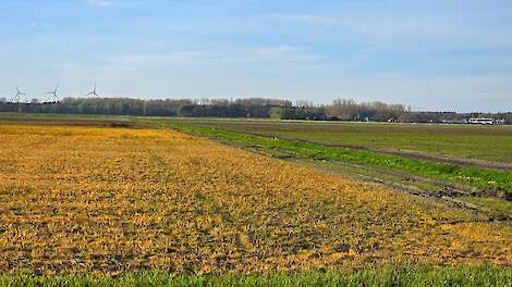 Glyfosaat gebruik op grasland