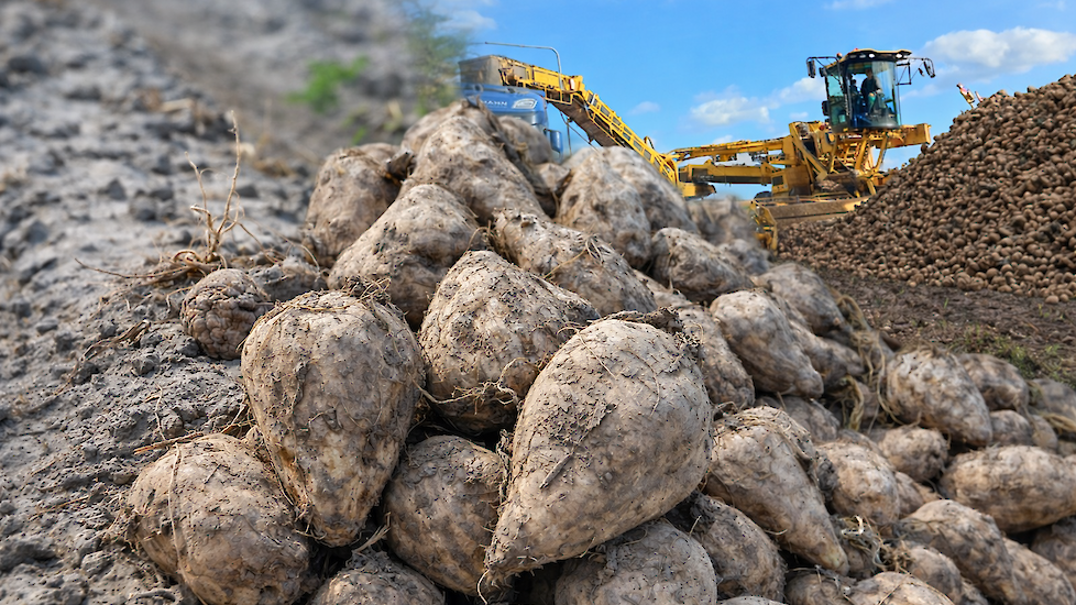Samengevoegde foto van de drie onderwerpen die in 2025 het best werden bekeken op Akkerwijzer.nl
