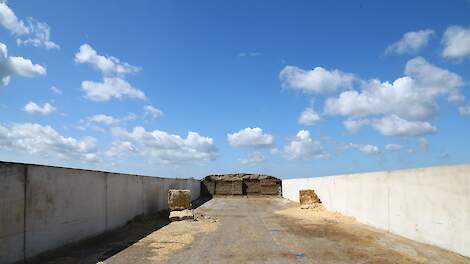 Sleufsilo melkveehouderij.