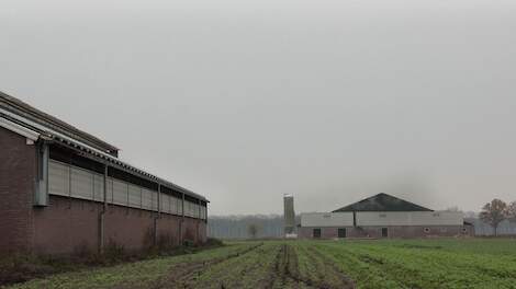 En luchtwasser op een stal in Brabant.