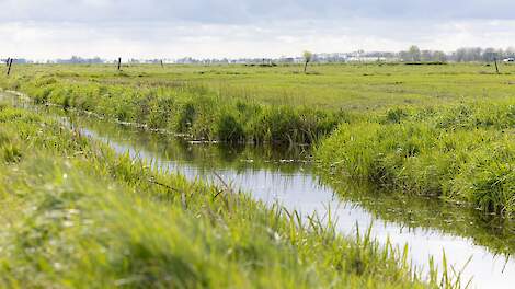 In de gebiedsgerichte aanpak lijkt schot te zitten. Afspraken voor de Veluwe en de Peel worden begin dit jaar vastgelegd in samenwerkingsovereenkomsten tussen het Rijk, de provincies, gemeenten en waterschappen.