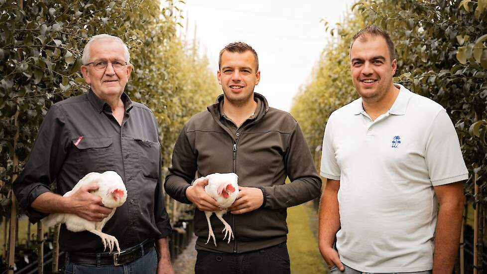 &lsquo;Door een goede opfok loopt het soepeler met deze hennen in de stal.&rsquo;
