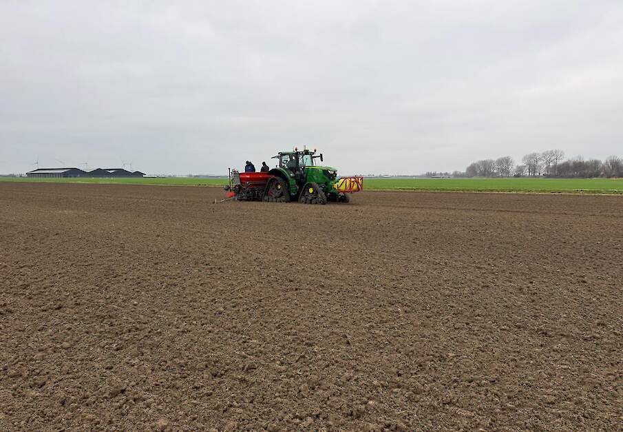 Plantuien Goeree-Overflakkee voor de kerst de grond in