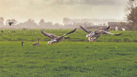 Beeld ter illustratie.