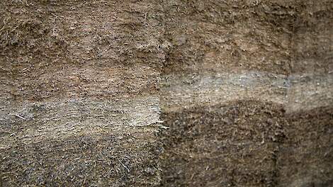 Lasagnekuil met daarin een andere laag.