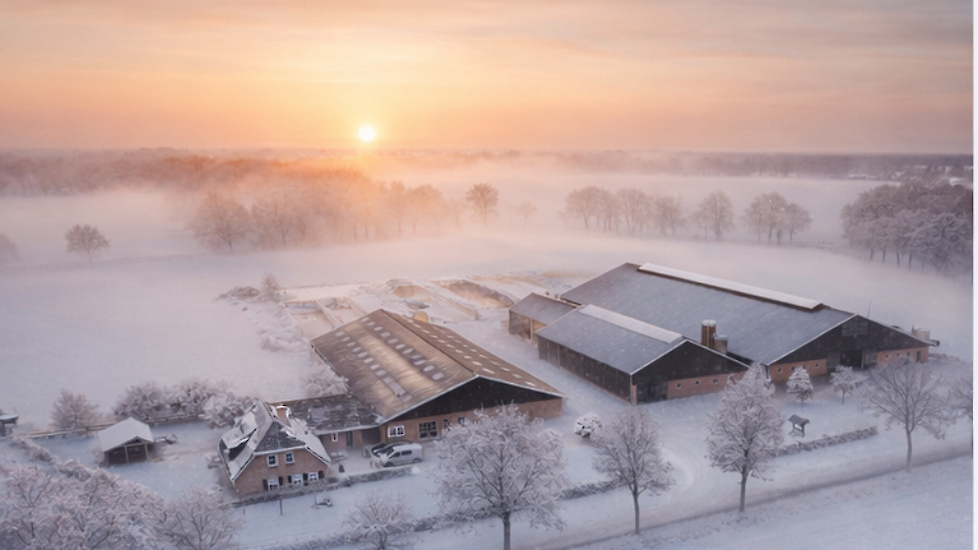 Boederij in de sneeuw