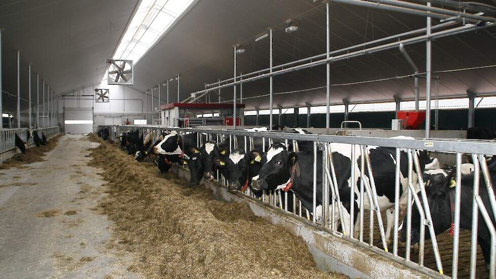 Beeld ter illustratie.