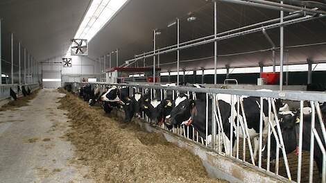 Beeld ter illustratie.