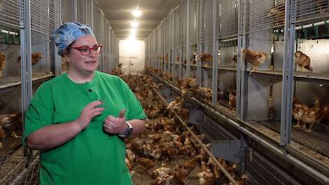 Nieuwkomer Jasmin Leinen is enthousiast over het opfokken van leghennen.