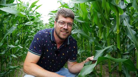 Sander Uwland is Crop Advisor en ma&iuml;sspecialist bij Bayer.