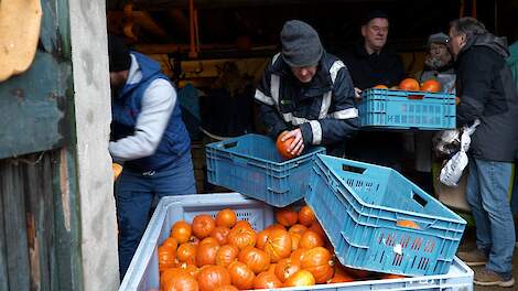 Consumenten laden massaal pompoenen in Groesbeek bij teler Chris Poelen.