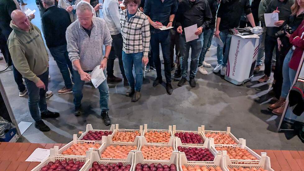 Beoordeling van de beste bewaaruien tijdens de Themadag Uien in Dronten