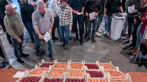 Beoordeling van de beste bewaaruien tijdens de Themadag Uien in Dronten