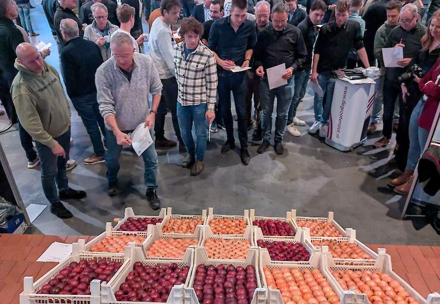 Beoordeling van de beste bewaaruien tijdens de Themadag Uien in Dronten