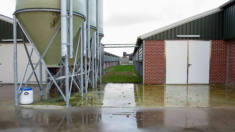 Voorkom plasvorming op het erf en bij de stal is een van de praktische aanbevelingen om insleep van vogelgriep te voorkomen