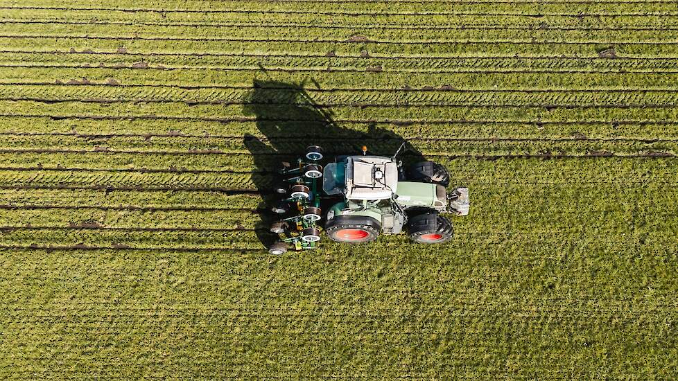 De leidingen van SmartDrip worden op een onderlinge afstand van 60 centimeter in de grond gebracht.