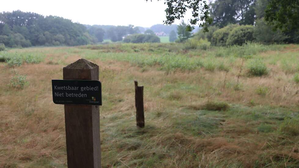 Landschap Springendal & Dal van de Mosbeek
