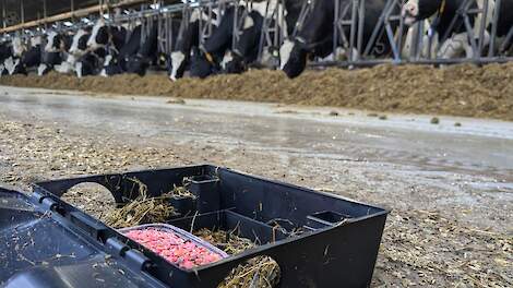 Een rattenbox in de stal bij een melkveehouder.