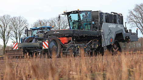 De Graafstra Agra Warrior