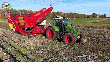 Fendt 724 met Grimme SE  260 fabrieksaardappelen rooien