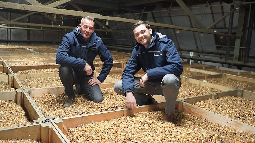 Koos Arens (rechts) en Rick den Dekker op een partij eerstejaars plantuien. Koos is teeltadviseur, Rick is praktijkonderzoeker bij Van Iperen.