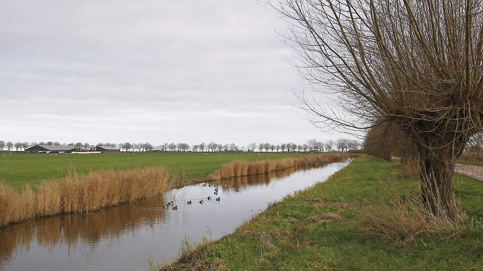 Veel boeren zullen de komende jaren meer waterschapsbelasting moeten betalen. Dit heeft onder meer te maken met een ander belastingstelsel.