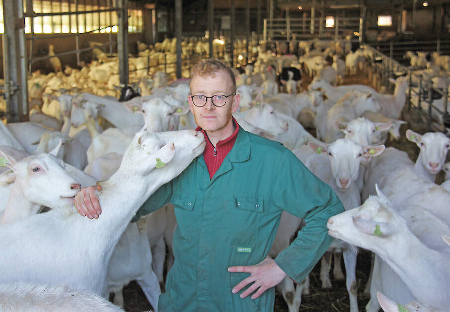 Jos Tolboom in de stal bij zijn geiten