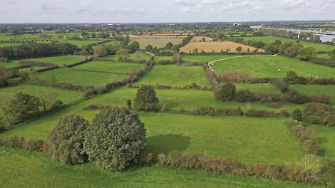 Een luchtopname waarop het bijzondere heggenpatroon in het Maasheggengebied goed zichtbaar is.