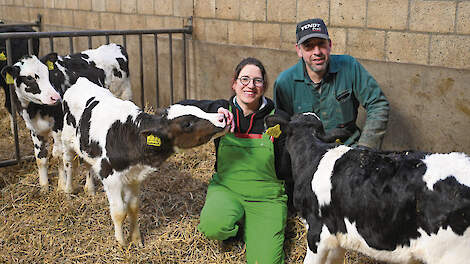 Kristel en Mark Vanhommerig tussen de kalveren