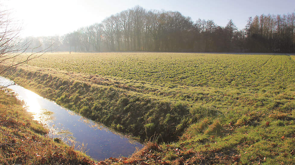 Veel boeren zullen de komende jaren meer waterschapsbelasting moeten betalen. Dit heeft onder meer te maken met een ander belastingstelsel.