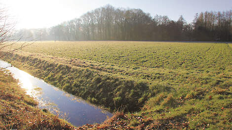 Veel boeren zullen de komende jaren meer waterschapsbelasting moeten betalen. Dit heeft onder meer te maken met een ander belastingstelsel.