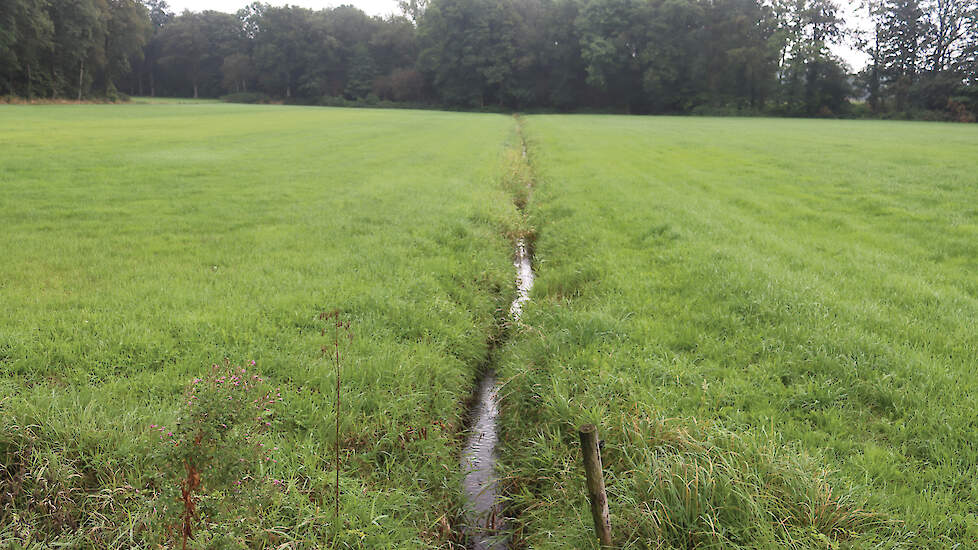 De nitraatconcentratie is onder sommige percelen zo laag, dat stoppen met bemesten niets oplevert voor beekdalnatuur.